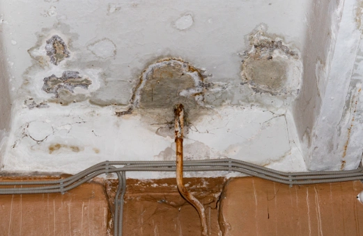 Signs You May Have a Hidden Leak