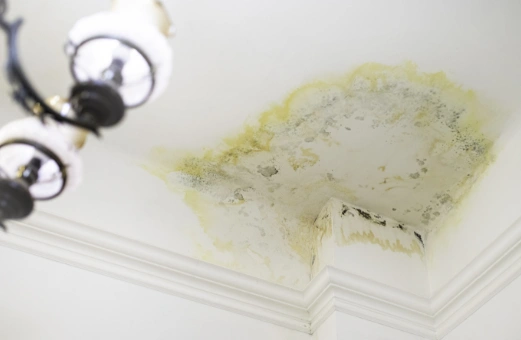 Common Signs of a Roof Leak